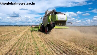 Farmers harvest a wheat field in the Ukrainian Kharkiv region on July 19, 2022, amid Russian invasion of Ukraine